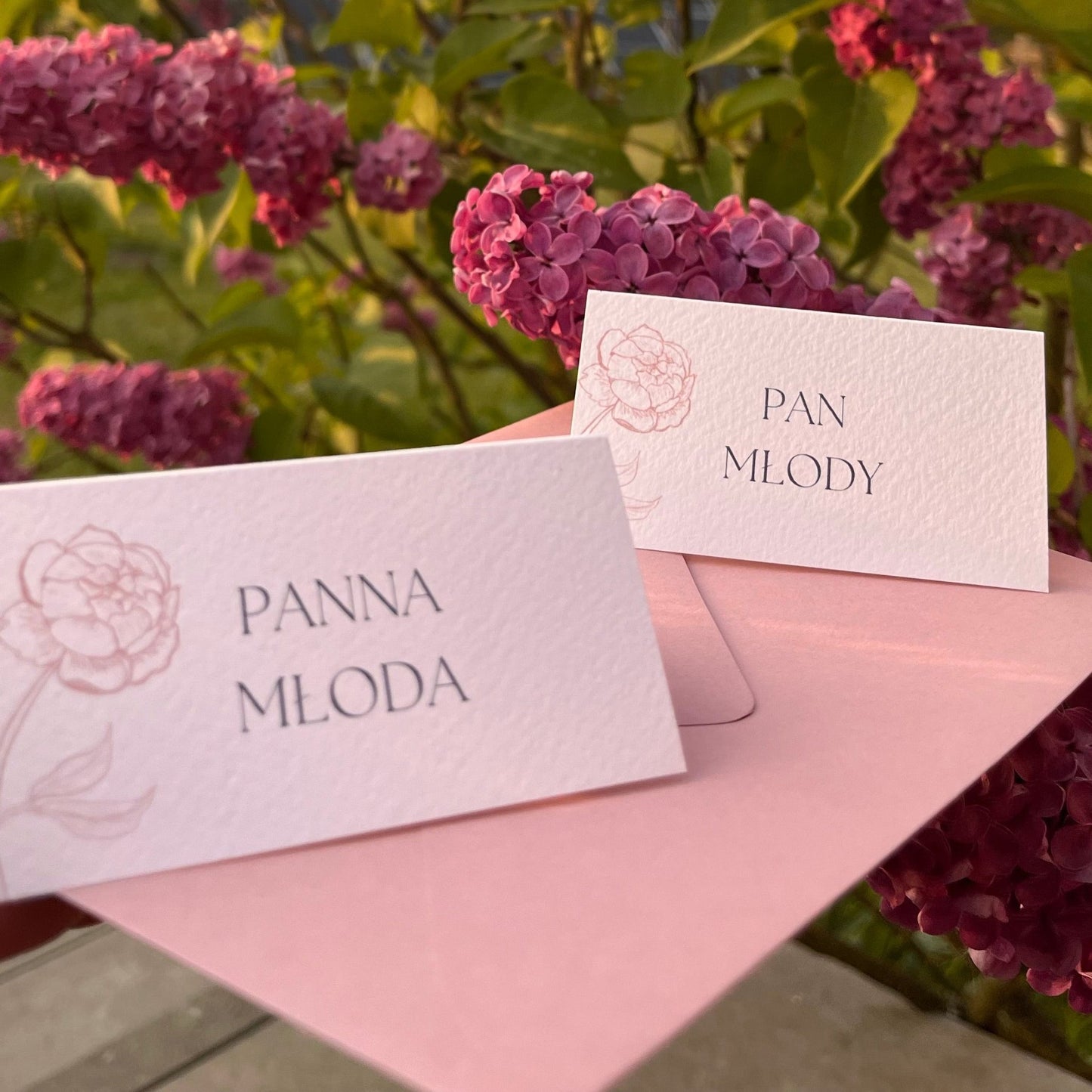 Winietki - Rysunkografia